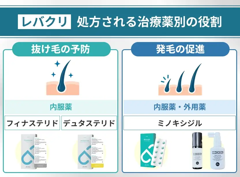 レバクリのAGA治療薬別の役割