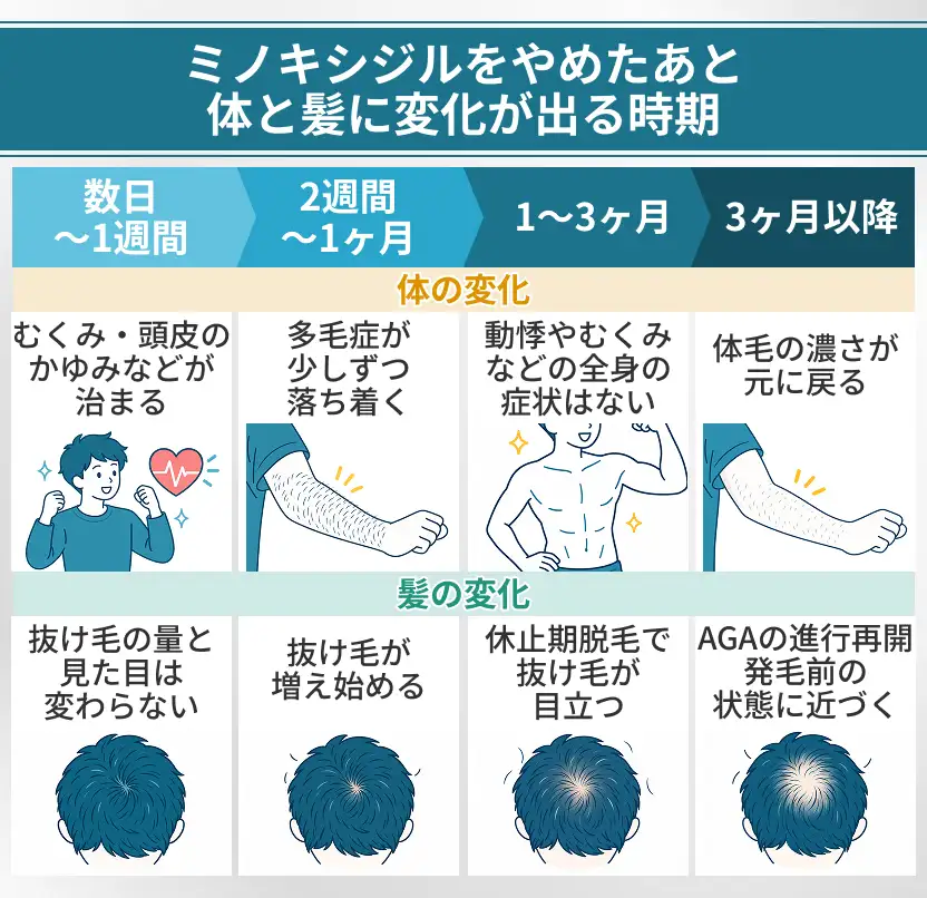 ミノキシジルをやめた後に体と髪へ変化が出る時期