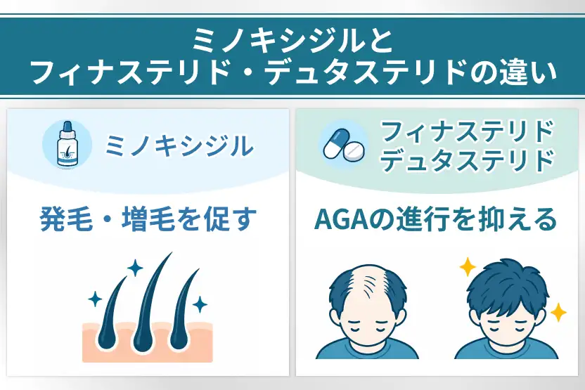 ミノキシジルとフィナステリド・デュタステリドの役割の違い