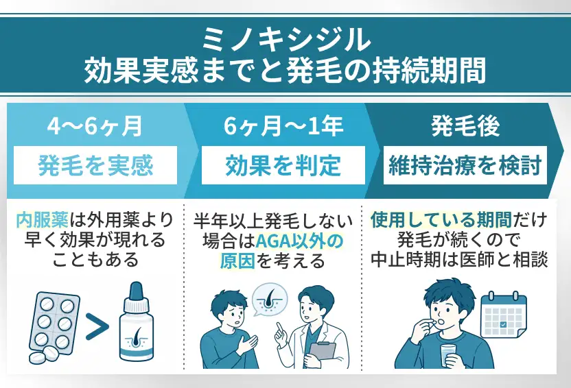 ミノキシジルは効果が出て使用している期間だけ発毛が続く