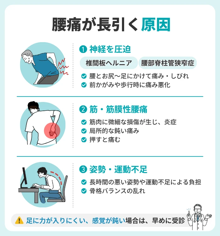 腰痛が治らない原因として考えられる整形外科的な疾患